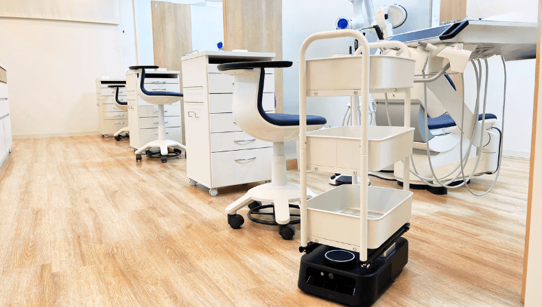 カチャカスリム